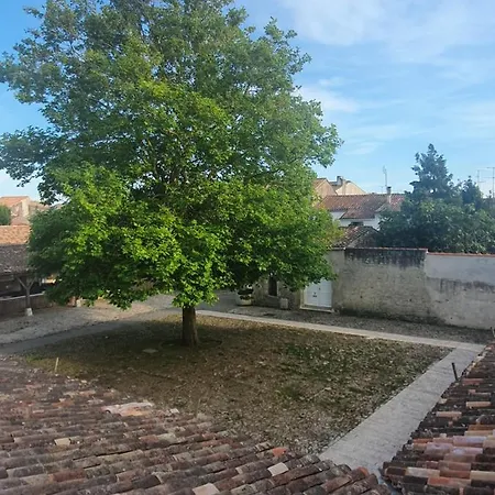 Le Pas Sage Du Marche