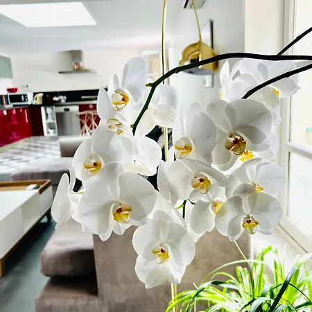 Le Pas Sage Du Marche * La Flotte